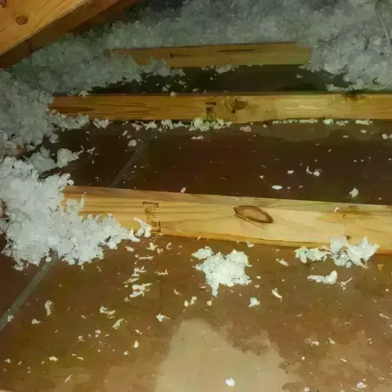 Attic Water Damage in Indiana County, PA