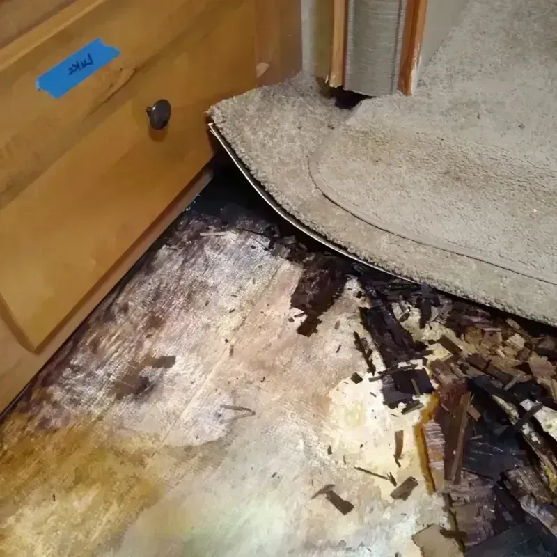 Wood Floor Water Damage in Indiana County, PA